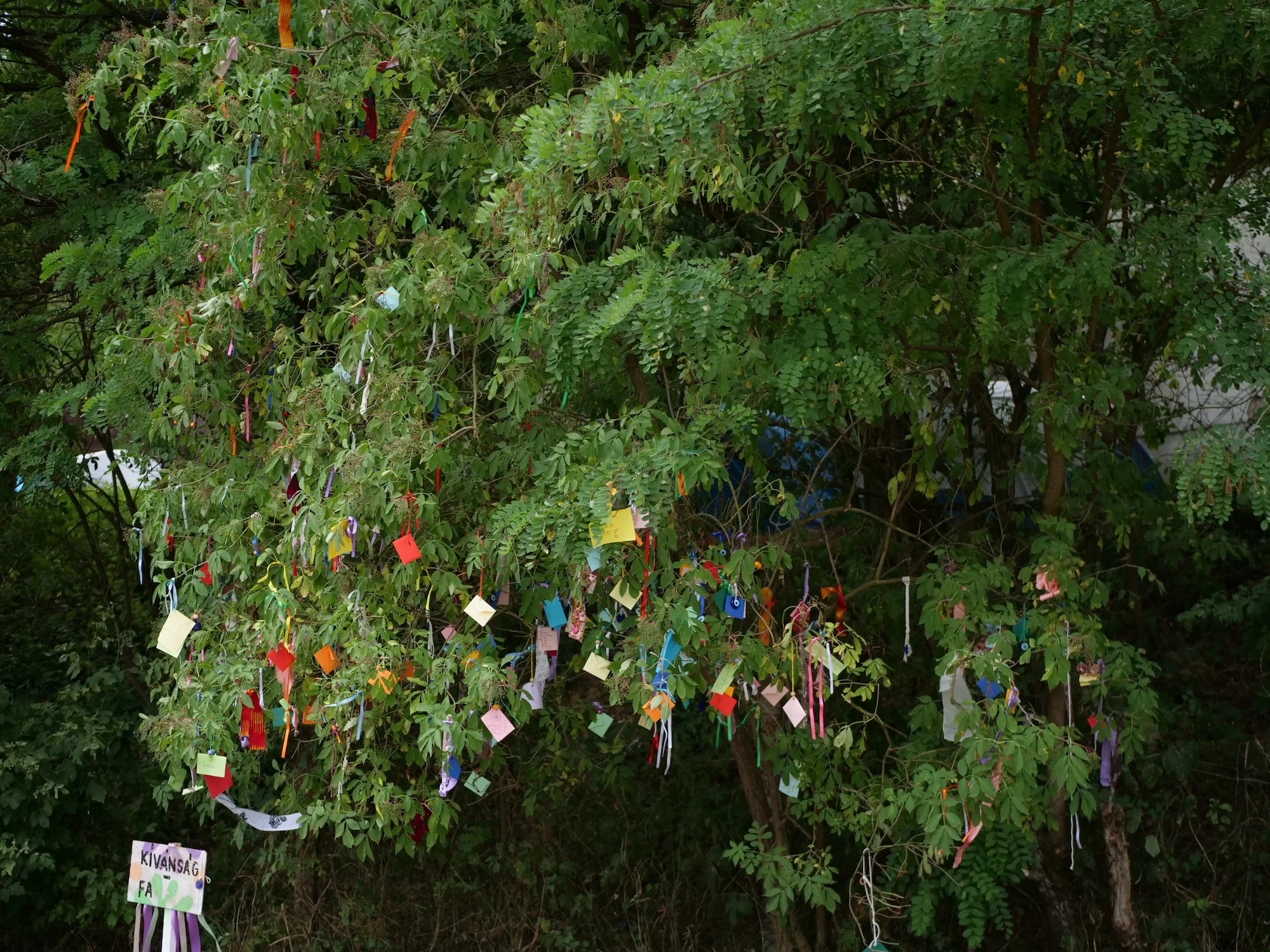 BRAWE at Bánkitó Festival - VAHA